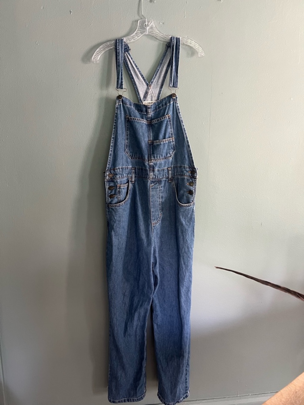 Free People Ziggy Overalls